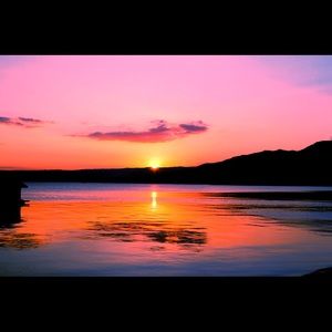 Meet your Posher, Carly